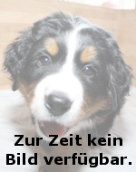 Vorsitzender Landesgruppe Süd 